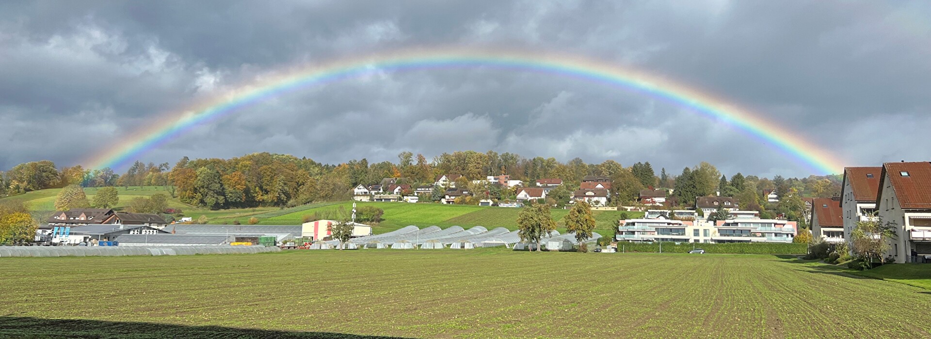 Feld
