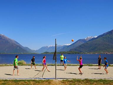 Bild Volleyballspieler