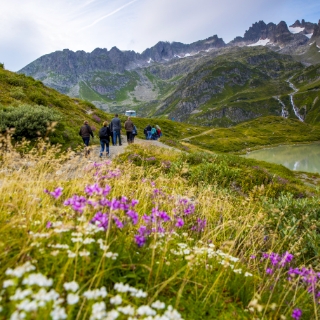 Wandergruppe am Berg