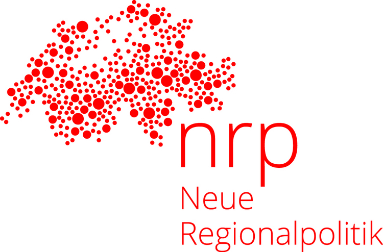 Logo Neue Regionalpolitik