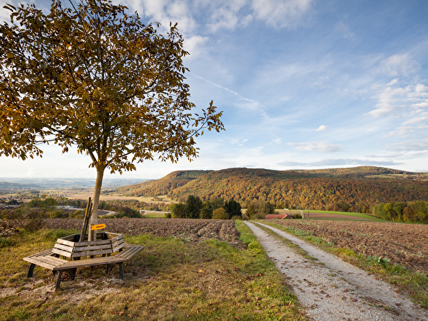 Herbstimpressionen