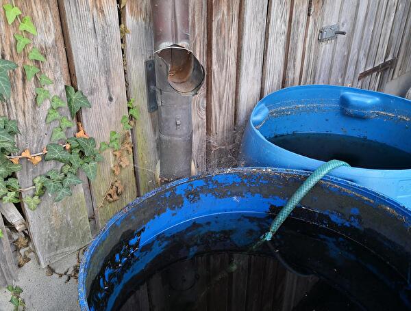 Wassersammeln3.jpg