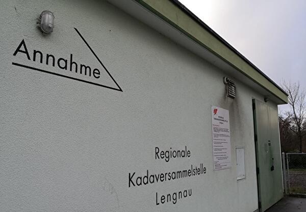 Lengnau-Kadaverstelle1.jpg