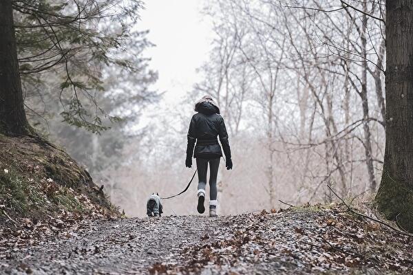 Hund_Wald.jpg