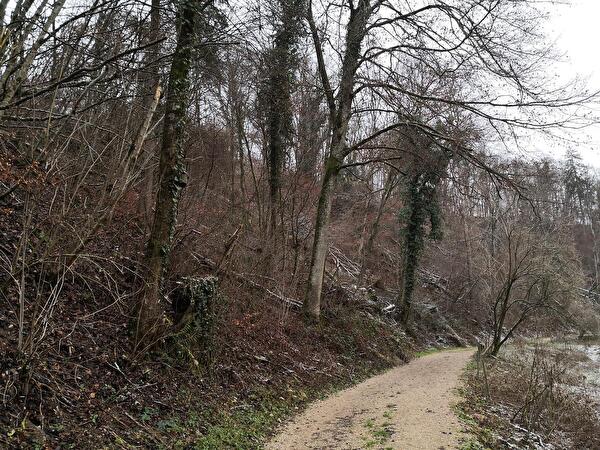 Altholzinsel_Tägerebach1.jpg