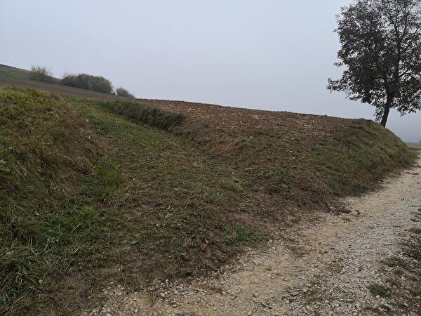 Weg1.jpg
