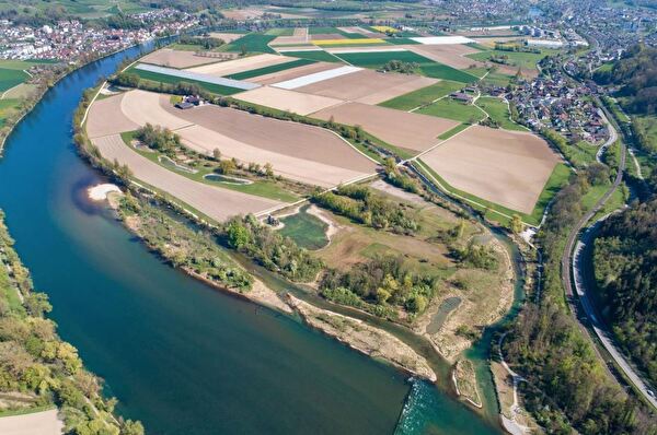 Rheinuferlandschaft