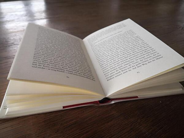 Buch.jpg