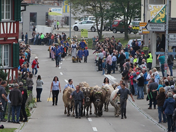 Umzug durch das Dorf Schönholzerswilen