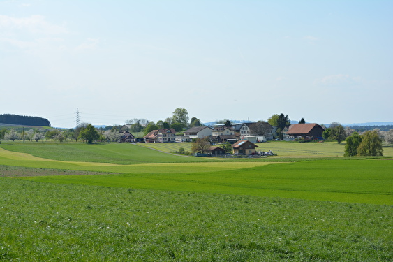 Schönholzerswilen Oberdorf