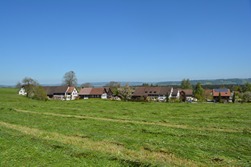 Habisreuti