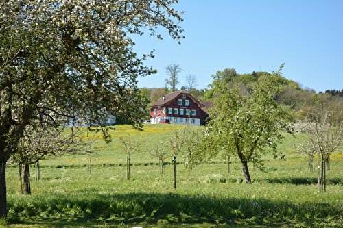 Metzgersbuhwil