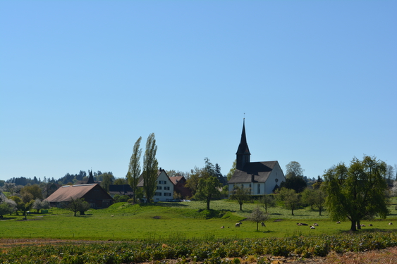 Evangelische Kirche Schönholzerswilen