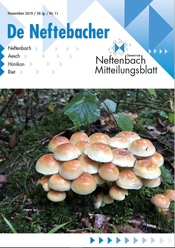 Titelblatt Mitteilungsblatt November 2019