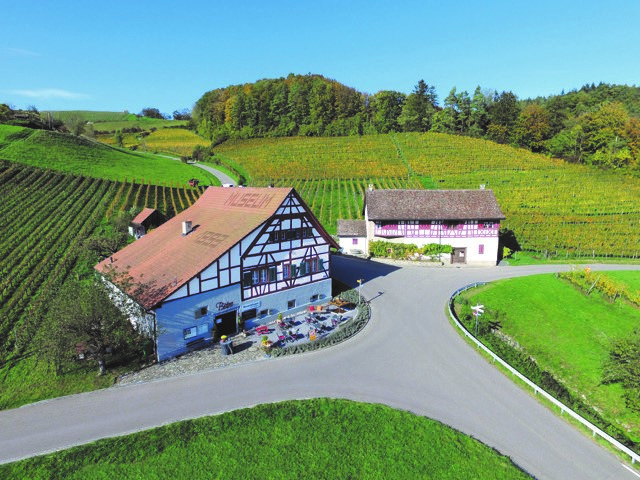 Gemeinde Neftenbach - Museum Neftenbach