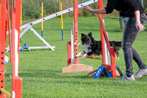 Hundesport Neftenbach