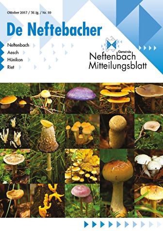 Titelbild der Oktober-Ausgabe des Neftenbacher Mitteilungsblattes mit einer Auswahl von Pilzen