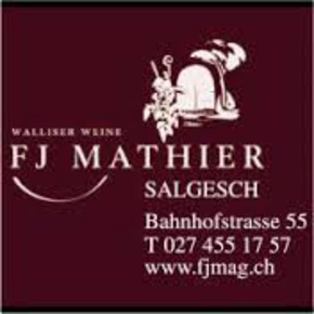 Franz-Josef Mathier AG