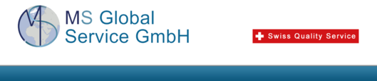 Logo MS Global