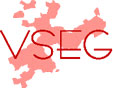 VSEG