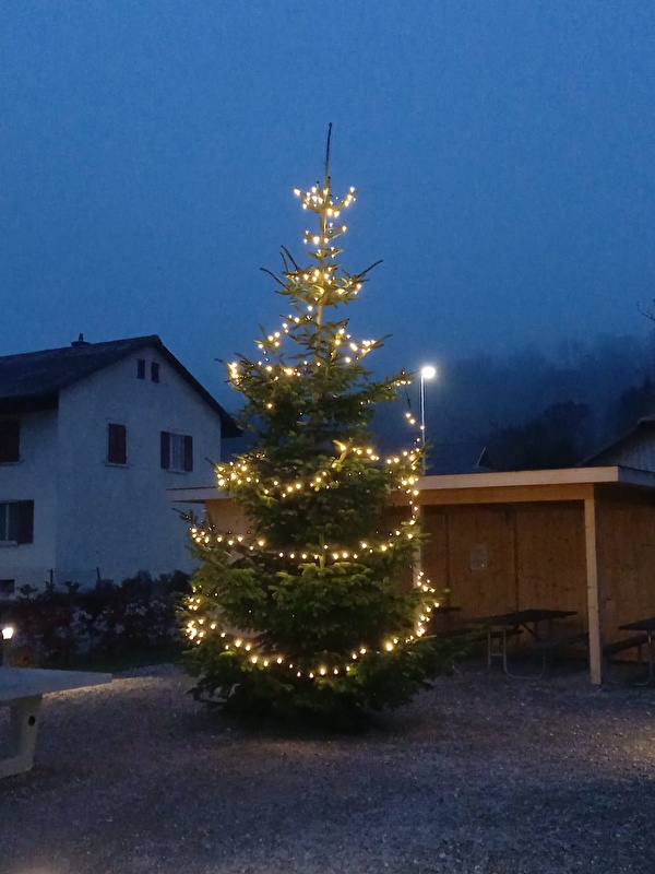 weihnachtsbaum