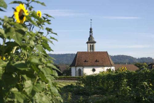 Othmarsingen, unser Dorf