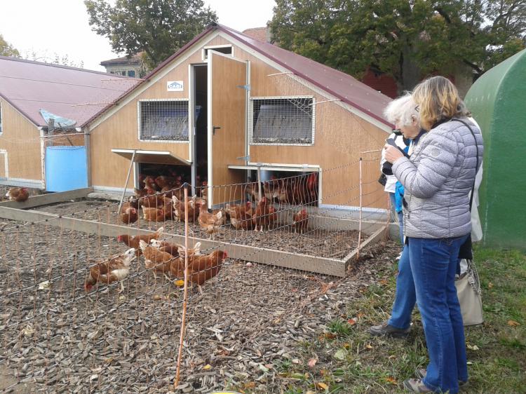 Visite le 31.10.18