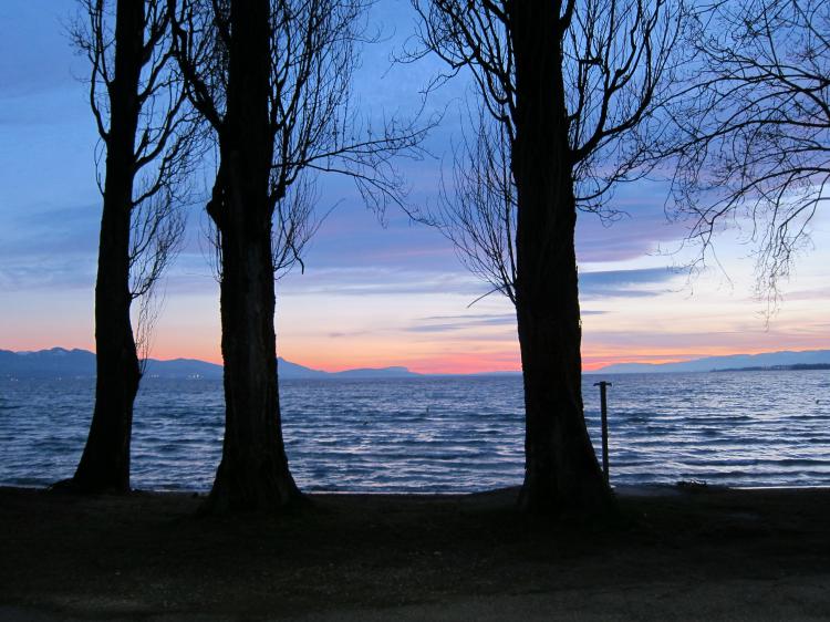 « Arbres et lac » - 22.02.17