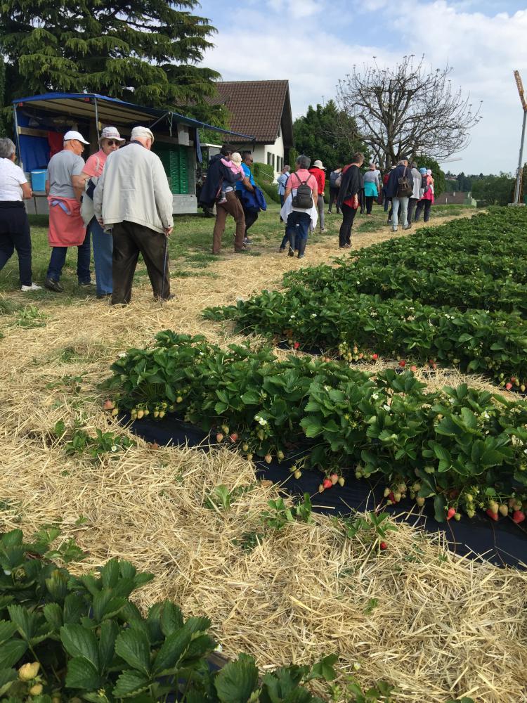 Visite le 25.05.19