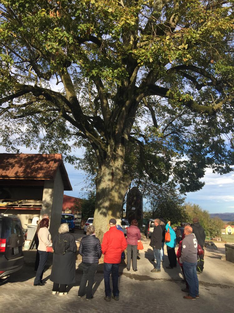 Visite le 31.10.18