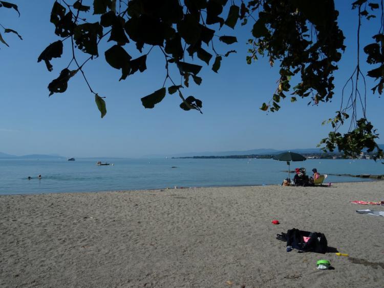 « Préverenges-Plage et feuilles d’arbres » - 26.08.17