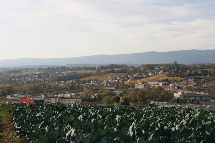 « Vue d'en haut » - 28.10.17