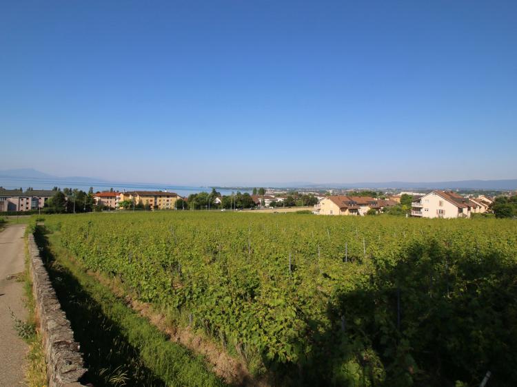 « Préverenges dans les vignes » - 20.06.2017