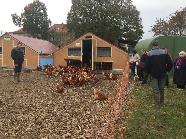 Visite le 31.10.18