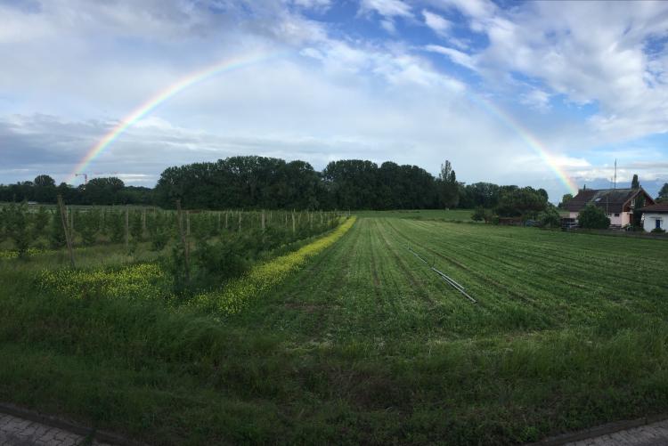 « Arc-en-ciel » - 04.06.2017