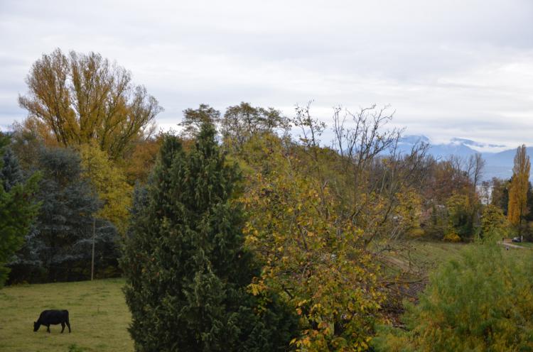 « Clochette dans le pré » – 04.10.17