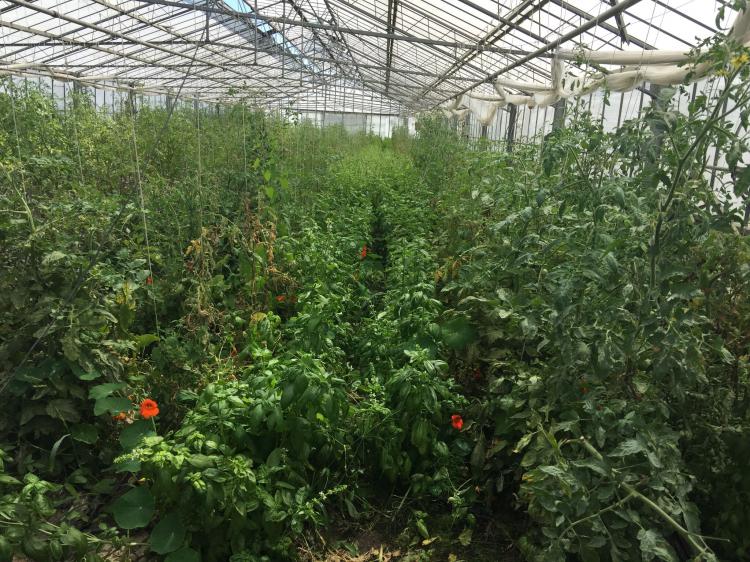 Visite chez MM. Cuendet le 20.6.2018