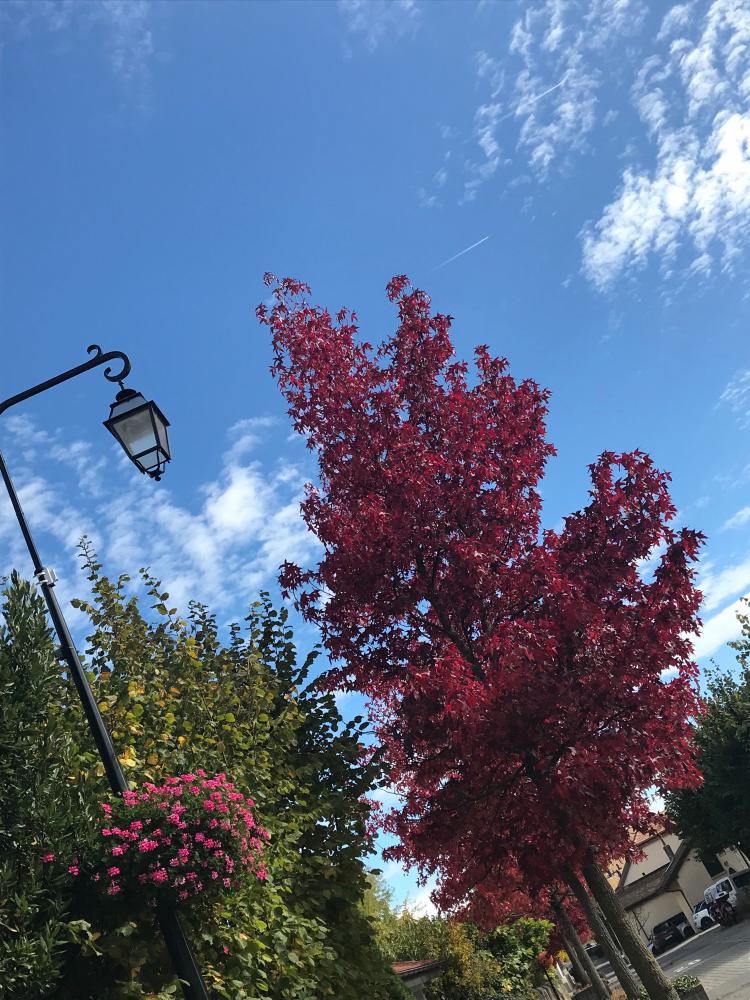 « Rue de Lausanne » - 08.10.17