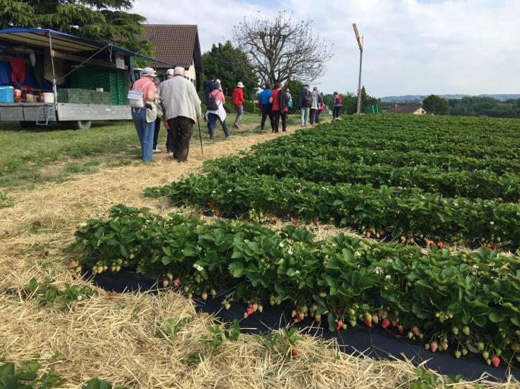 Visite le 25.05.19