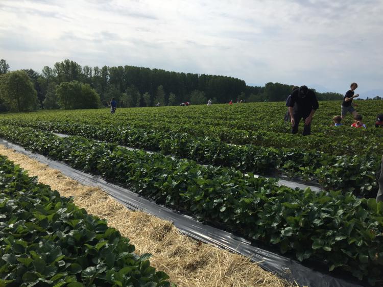 Visite le 25.05.19
