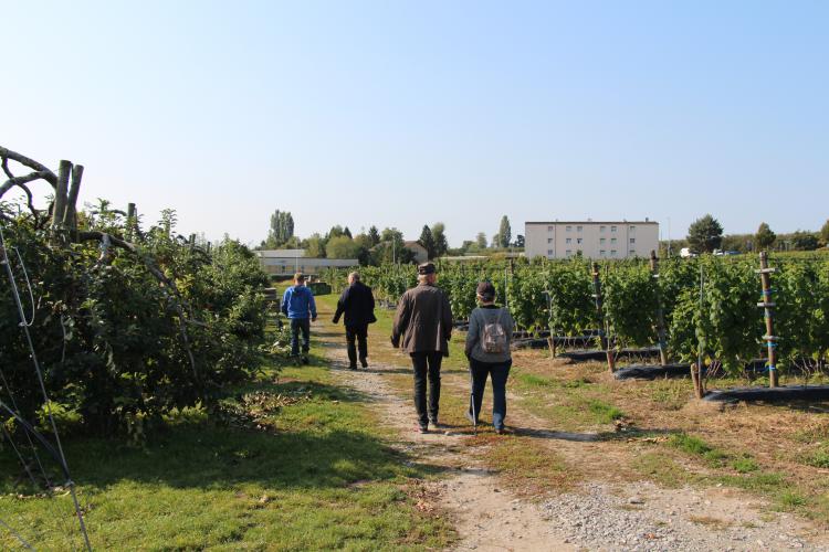Visite chez la famille Borboën le 23.9.2017