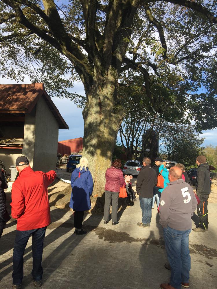 Visite le 31.10.18