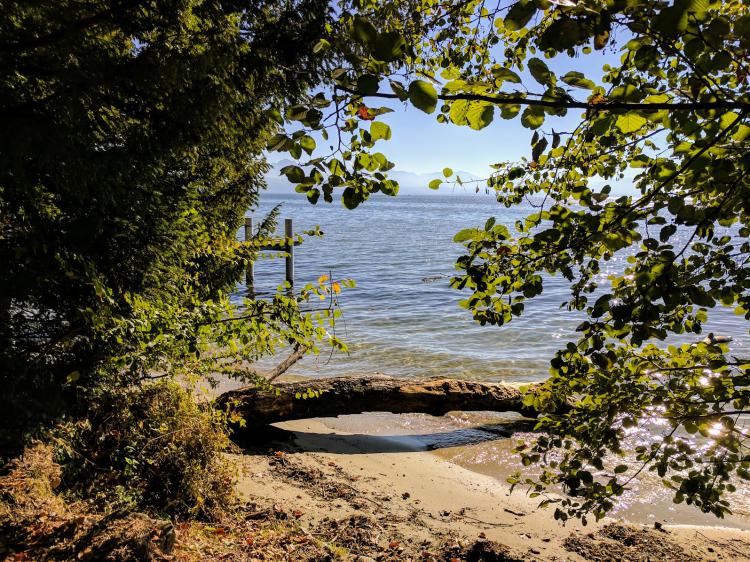 « Ouverture sur le lac » -
11.10.17
