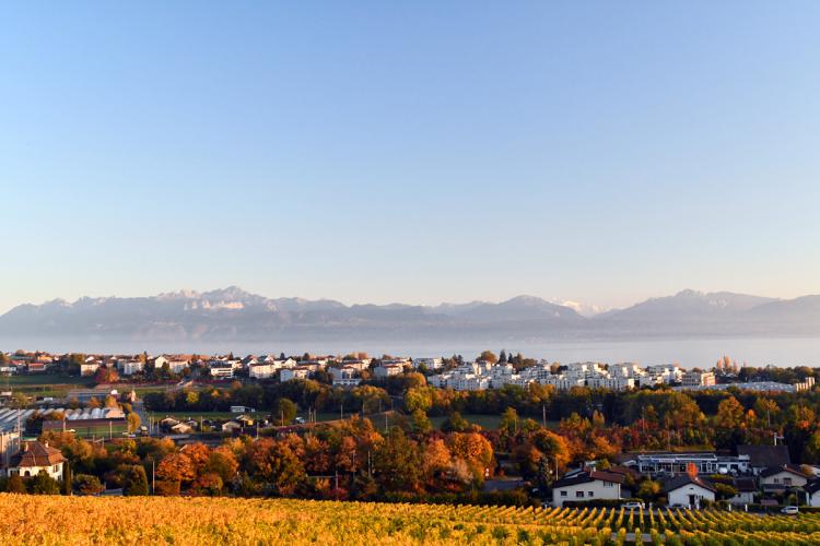 « Préverenges vue depuis Lonay » - 14.10.17
