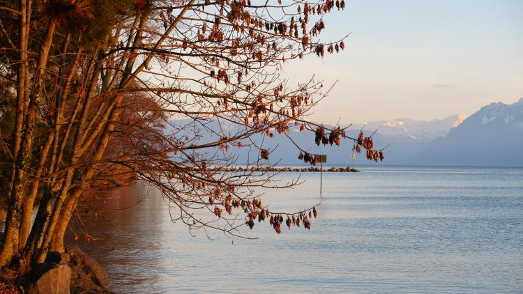 La plus belle plage d'Europe 1 - 25.12.2018