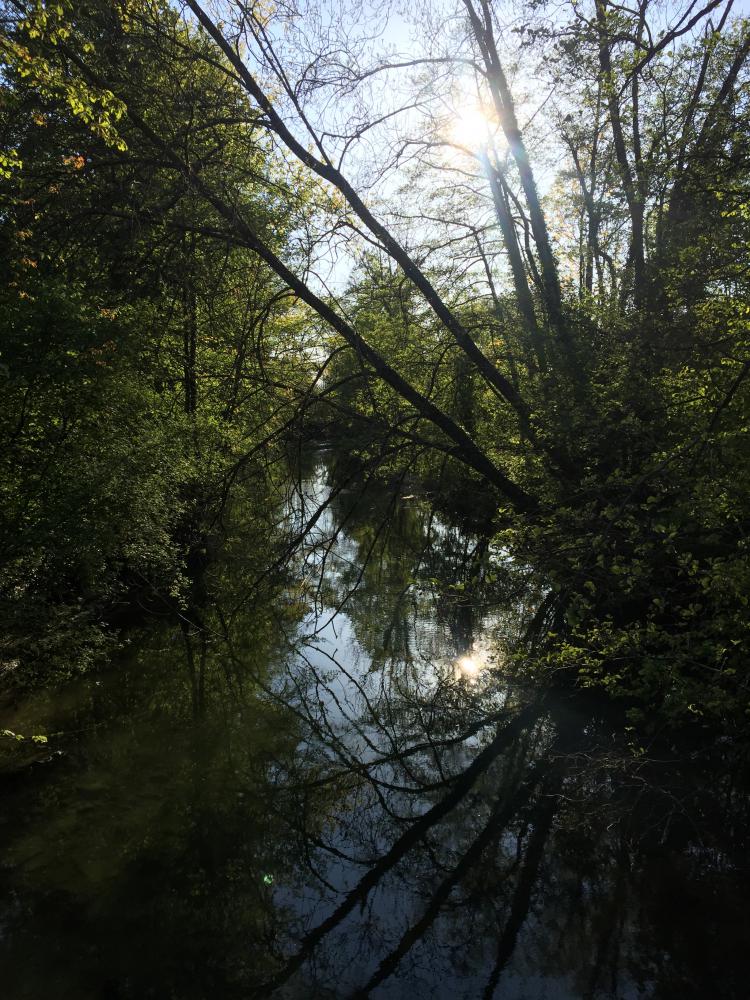 « Reflets-Venoge » - 23.04.17