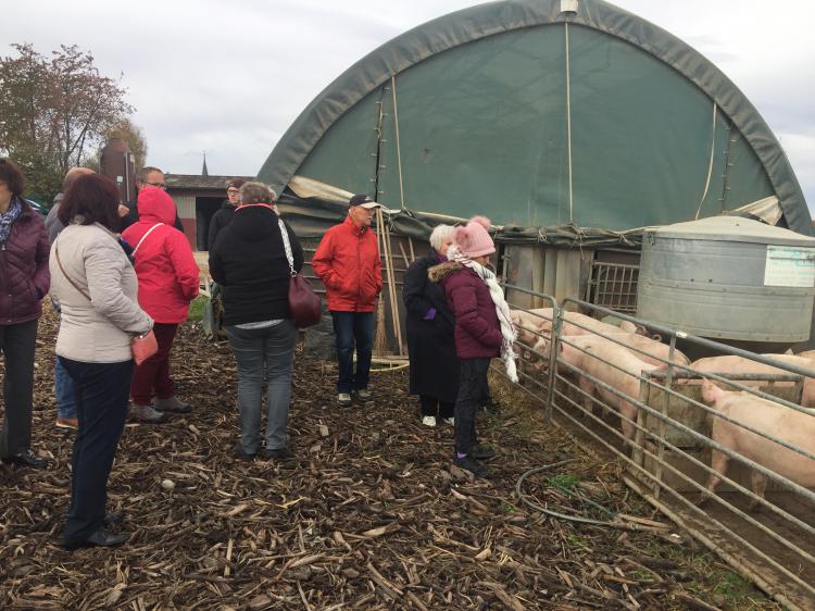 Visite le 31.10.18