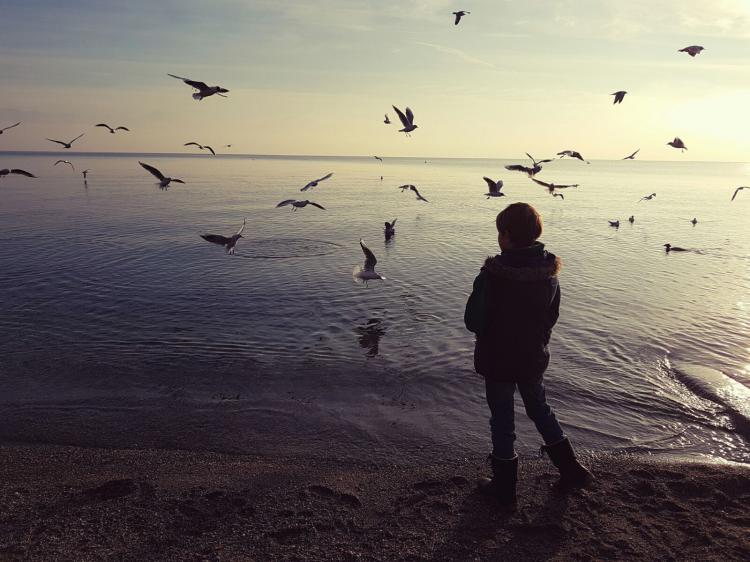 « Oiseaux » - 06.02.17