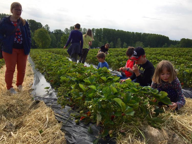 Visite le 25.05.19