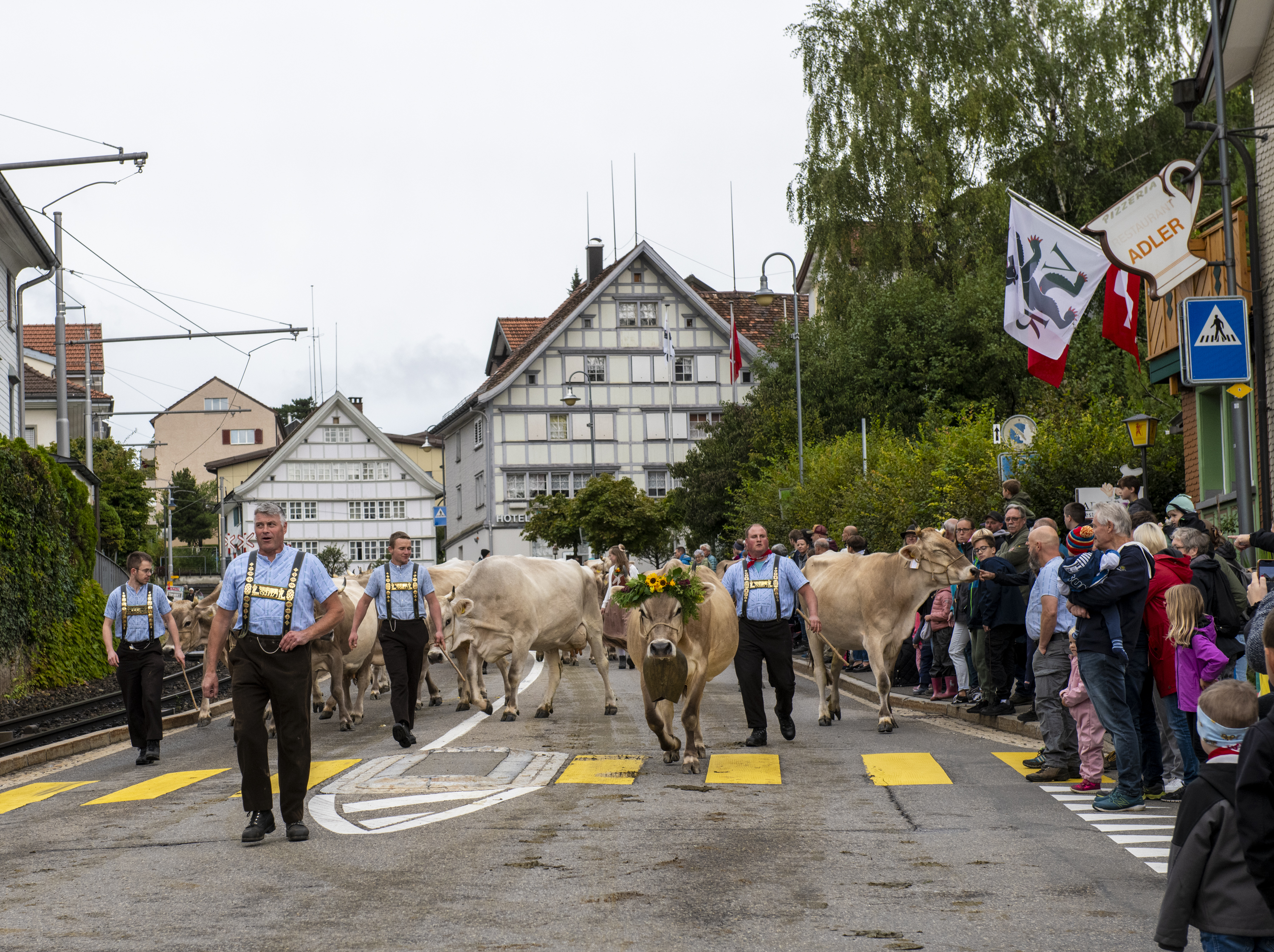 Viehschau